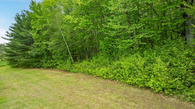 303 Williams Rd, Bradford, ME 04410 - view of undeveloped land
