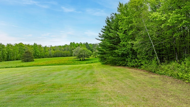 303 Williams Rd, Bradford, ME 04410 - view of grassy yard featuring a forest view