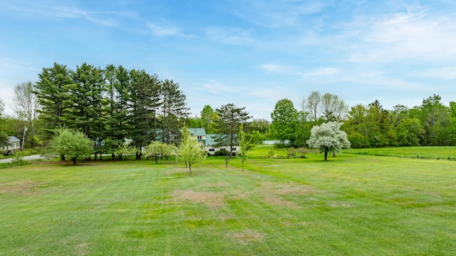 303 Williams Rd, Bradford, ME 04410 - view of green lawn featuring view of wooded area