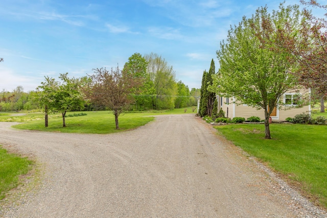 303 Williams Rd, Bradford, ME 04410 - view of dirt / gravel driveway