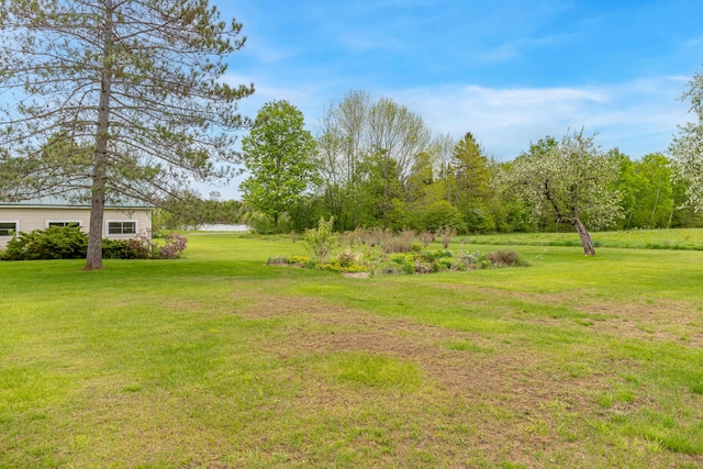 303 Williams Rd, Bradford, ME 04410 - view of green lawn