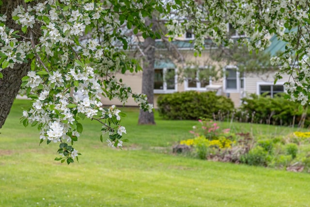 303 Williams Rd, Bradford, ME 04410 - view of grassy yard