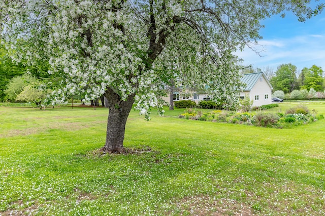 303 Williams Rd, Bradford, ME 04410 - view of grassy yard