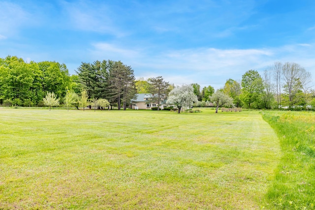 303 Williams Rd, Bradford, ME 04410 - view of grassy yard