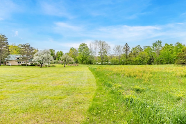 303 Williams Rd, Bradford, ME 04410 - view of green lawn