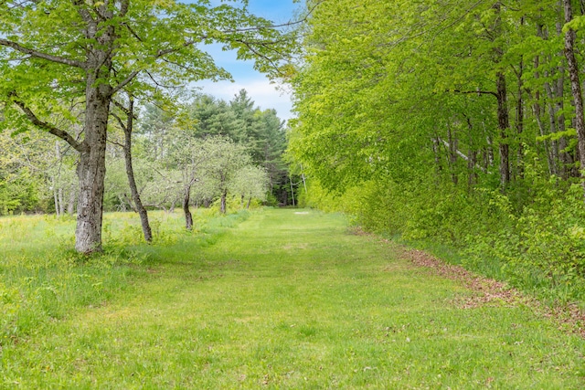 303 Williams Rd, Bradford, ME 04410 - view of yard featuring a view of trees