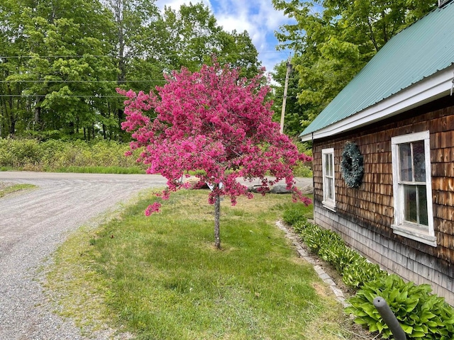 303 Williams Rd, Bradford, ME 04410 - view of yard