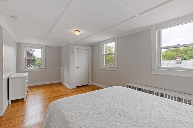 20 Donald St, Waterville, ME 04901 - bedroom with radiator, multiple windows, light wood finished floors, baseboards, and crown molding