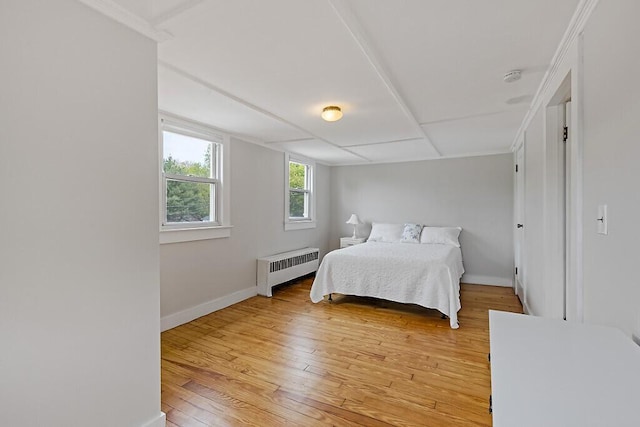 20 Donald St, Waterville, ME 04901 - bedroom with radiator heating unit, light wood finished floors, baseboards, and crown molding