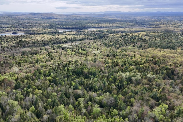 0 Sedgwick Ridge Rd, Sedgwick, ME 04676