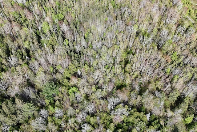 0 Sedgwick Ridge Rd, Sedgwick, ME 04676