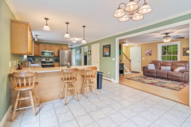 15 Convene Rd, Sebago, ME 04029 - kitchen featuring appliances with stainless steel finishes, a baseboard heating unit, a peninsula, light countertops, and ornamental molding