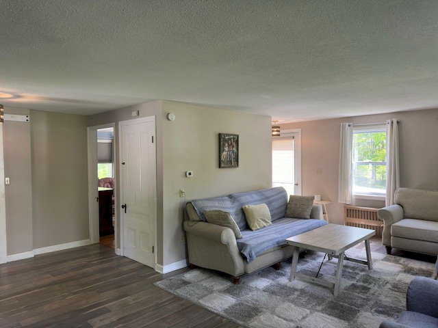 10 Research Dr, Skowhegan, ME 04976 - living room featuring radiator, wood finished floors, baseboards, and a textured ceiling