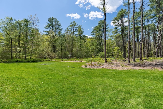 401 Princes Point Rd, Yarmouth, ME 04096 - view of green lawn featuring a forest view