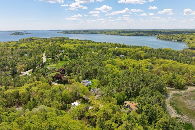 401 Princes Point Rd, Yarmouth, ME 04096 - aerial view of a forest and a large body of water