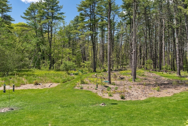 401 Princes Point Rd, Yarmouth, ME 04096 - view of green lawn with a view of trees