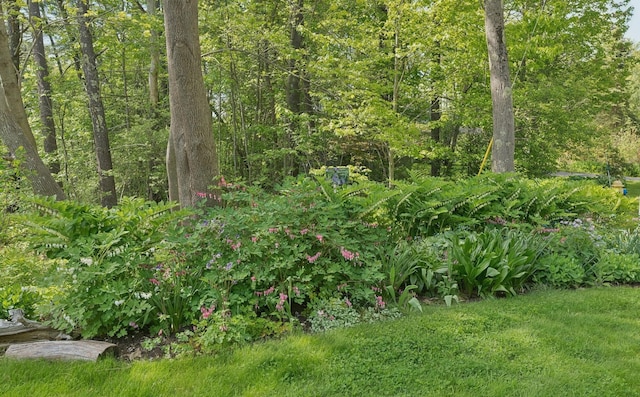 401 Princes Point Rd, Yarmouth, ME 04096 - view of yard