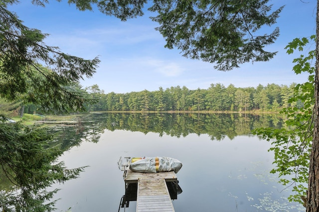 29 Island Pond Rd, Leeds, ME 04263 - dock area with a water view and a view of trees