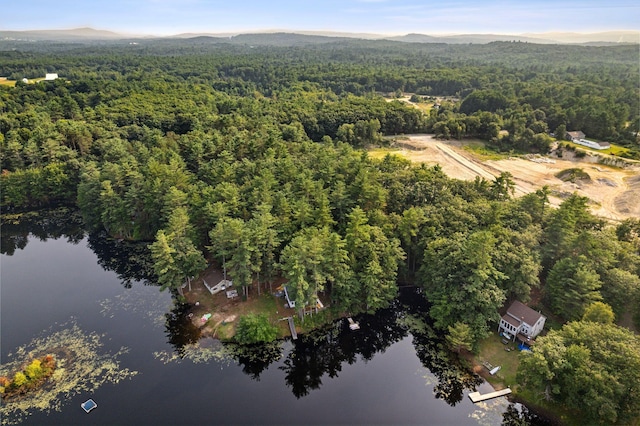 29 Island Pond Rd, Leeds, ME 04263 - view of property location with a forest and a water and mountain view