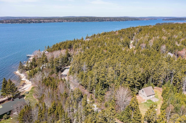 463 Martin Point Rd, Friendship, ME 04547 - bird's eye view of a forest and a large body of water
