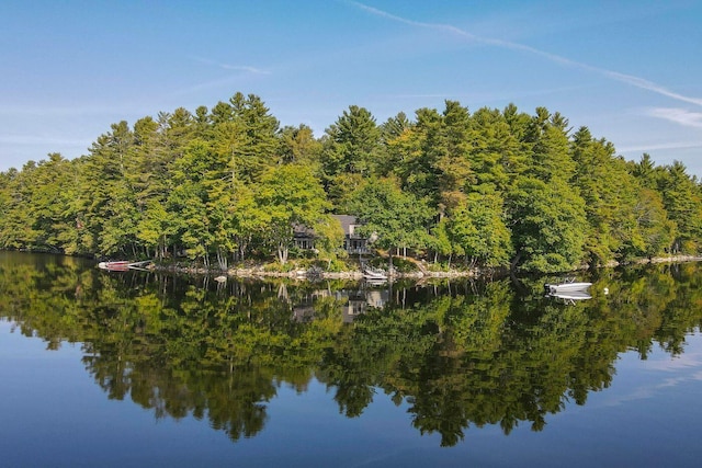 85 Provost Rd, Jefferson, ME 04348 - water view featuring a forest