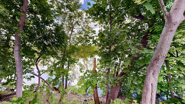 118 Riverside Dr, Auburn, ME 04210 - view of nature