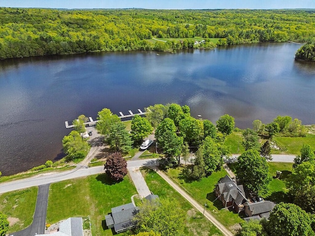 95 Riverview Dr, Gardiner, ME 04345 - aerial view of a forest and a nearby body of water