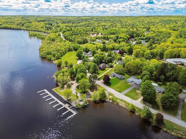 95 Riverview Dr, Gardiner, ME 04345 - aerial view of a forest and a large body of water