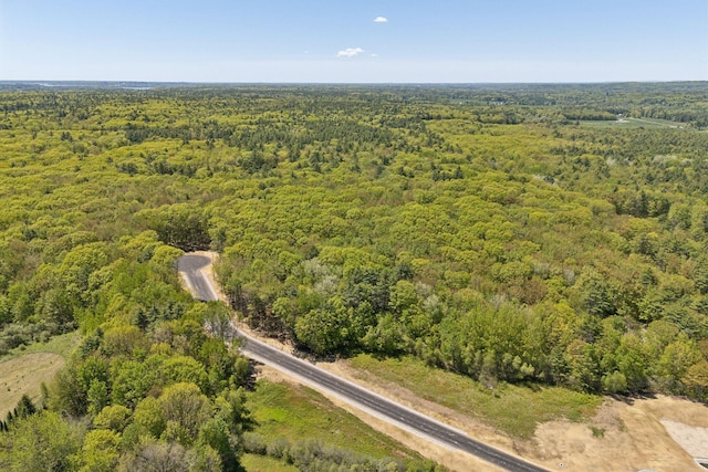11 Coastal Pnes, Cumberland, ME 04021 - aerial view of property's location with a heavily wooded area