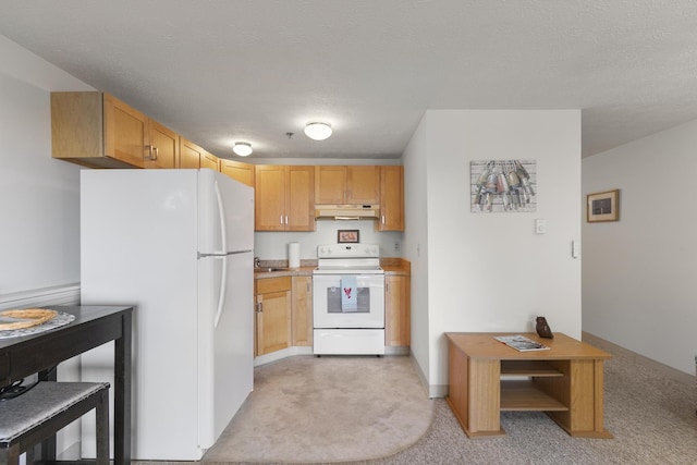 1801 Post Rd Unit 144, Wells, ME 04090 - kitchen featuring white appliances, under cabinet range hood, light colored carpet, and a sink