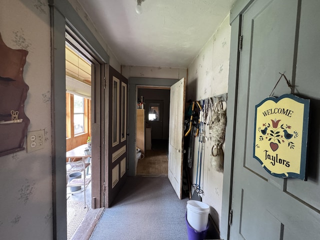 41 S Main St, Guilford, ME 04443 - hall with carpet floors