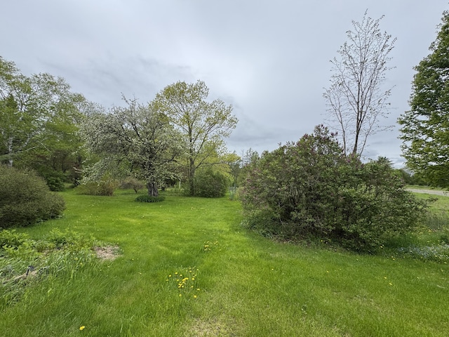 41 S Main St, Guilford, ME 04443 - view of grassy yard