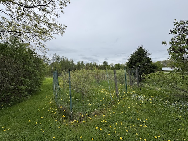 41 S Main St, Guilford, ME 04443 - view of undeveloped land