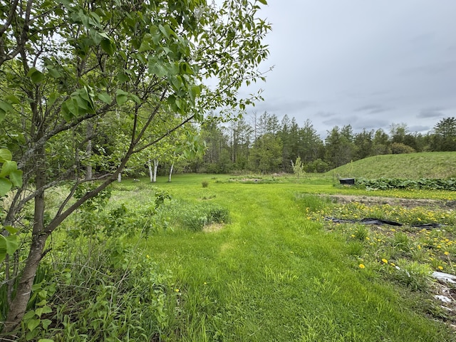 41 S Main St, Guilford, ME 04443 - view of yard featuring a wooded view