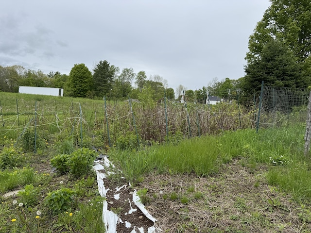 41 S Main St, Guilford, ME 04443 - view of yard