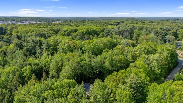 186 Yarmouth Rd, Gray, ME 04039 - aerial view of a heavily wooded area
