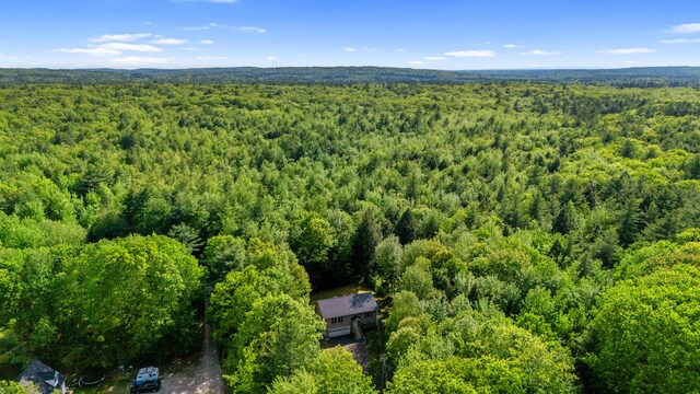 186 Yarmouth Rd, Gray, ME 04039 - aerial view of a forest