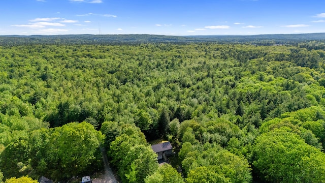 186 Yarmouth Rd, Gray, ME 04039 - drone / aerial view of a heavily wooded area