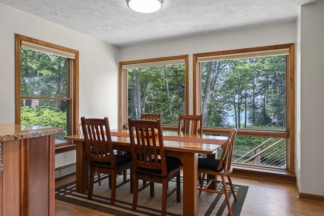 23 Stovers Point Rd, Harpswell, ME 04079 - dining space featuring a baseboard heating unit, a textured ceiling, wood finished floors, and plenty of natural light