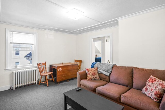 6 Winter St, Augusta, ME 04330 - living area with radiator heating unit, crown molding, and carpet