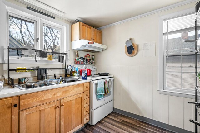 6 Winter St, Augusta, ME 04330 - kitchen featuring under cabinet range hood, white range with electric stovetop, dark wood-type flooring, light countertops, and a sink
