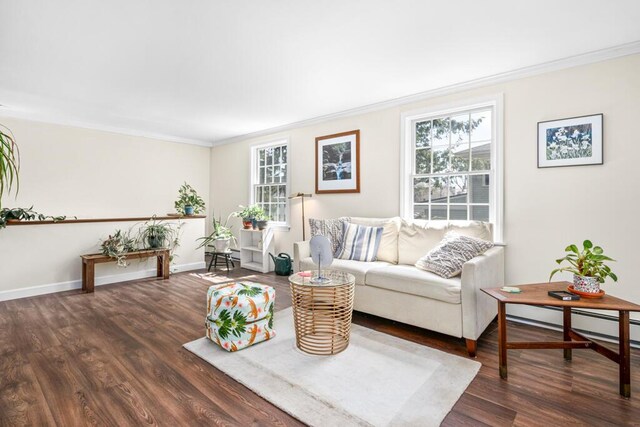 6 Winter St, Augusta, ME 04330 - living room with crown molding, wood finished floors, and baseboards