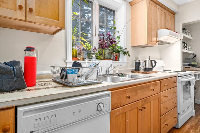 6 Winter St, Augusta, ME 04330 - kitchen featuring white appliances, under cabinet range hood, light countertops, a sink, and wood finished floors