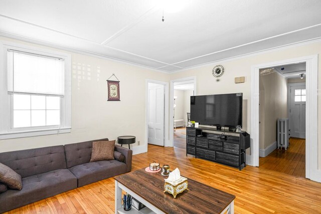 6 Winter St, Augusta, ME 04330 - living room featuring radiator heating unit, light wood-type flooring, ornamental molding, and baseboards