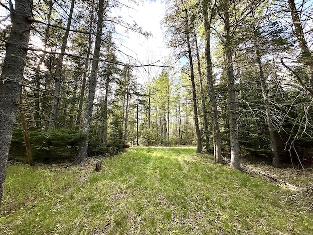 M4L31 Stanley Field Rd, Deer Isle, ME 04627