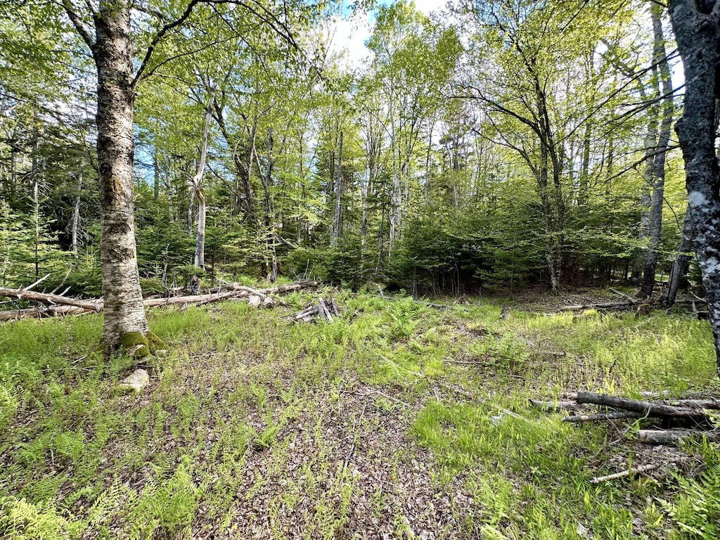 M4L31 Stanley Field Rd, Deer Isle, ME 04627