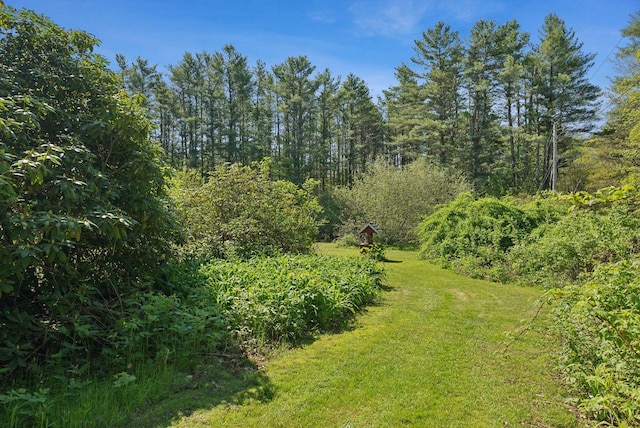 592 Old Stage Rd, Arrowsic, ME 04530 - view of grassy yard with a view of trees