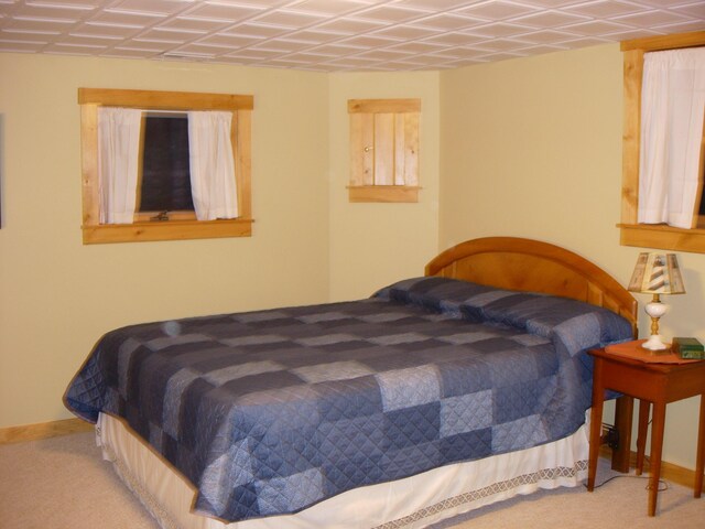 35 Viking Village Rd, Newry, ME 04261 - bedroom with carpet and baseboards