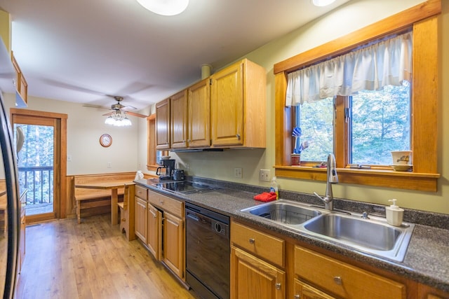 35 Viking Village Rd, Newry, ME 04261 - kitchen featuring black dishwasher, a sink, dark countertops, light wood-type flooring, and a ceiling fan