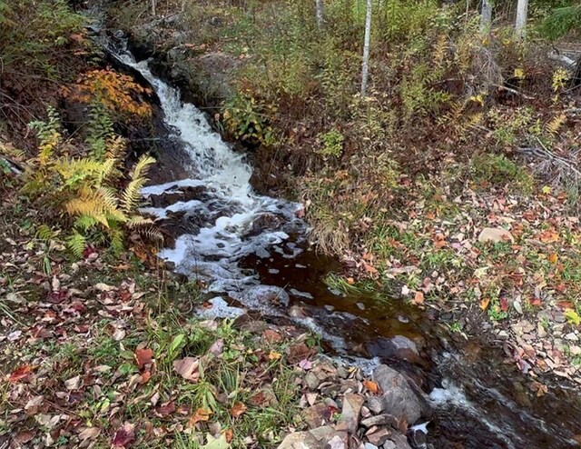 286 Atlantic Hwy, Northport, ME 04849 - view of nature
